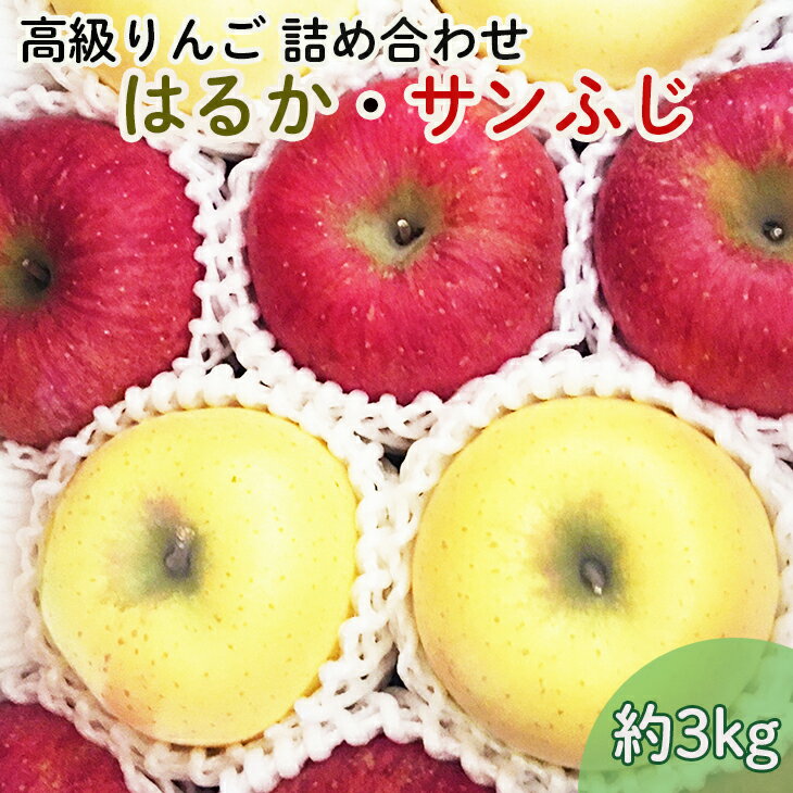 【ふるさと納税】《先行予約》【贈答用】 高級りんごはるか・サンふじ詰合せ！花巻産約3kg