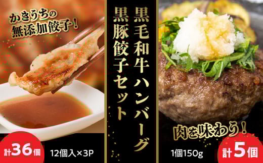 071-08 黒毛和牛ハンバーグ・黒豚餃子セット