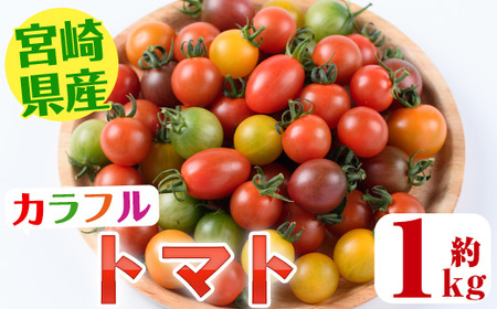 ＜先行予約受付中！2024年11月～5月の間に順次発送予定・期間限定＞カラフルトマト食べ比べセット(約1kg)  国産 宮崎県産 とまと 野菜 サラダ 黄色 オレンジ みどり 紫 アイコ 赤 セレブス