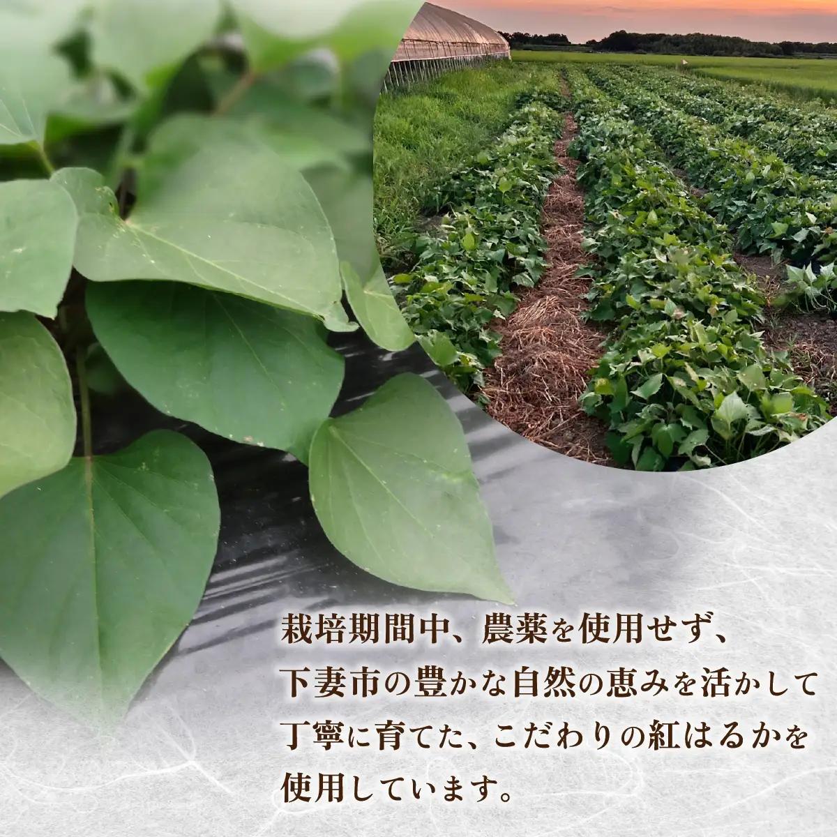 干し芋 約400g 紅はるか 平干し
