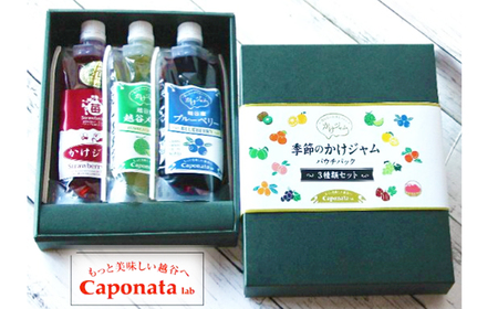 定番のかけジャムパウチパック3種類セット ／ 掛けるジャム 新感覚 いちごジャム メロンジャム ブルーベリージャム 携帯 エコ容器 埼玉県 No.245
