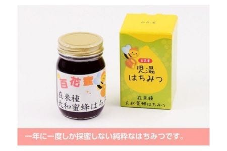 【数量限定】国産はちみつ（百花蜜）500g【蜂蜜 国産 はちみつ 九州産 宮崎県産 川南町産 ハチミツ】