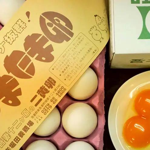 【3か月連続お届け】農場直送！吾妻十二ヶ原の卵（20個） 二黄卵 鶏卵 たまご タマゴ 卵 安心 こだわり 食卓 卵かけごはん 堀田養鶏場 群馬県 東吾妻町