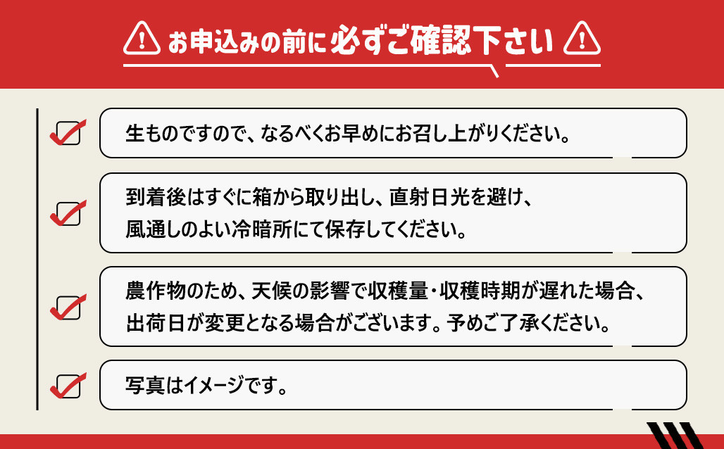 ［2027年3月出荷分］和歌山産ミニトマト「アイコトマト」約2kg（M・Lサイズおまかせ） ［TM262］