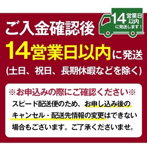 本格焼酎 芋焼酎 薩摩 宝山 セット (720ml×2本) 【西酒造】No.495