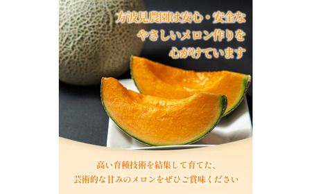 【来年2026年】先行予約！茨城県鉾田市産 むつみレッドメロン（1.2kg以上×3～5個）