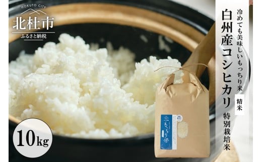 【令和7年度新米】【令和7年度米】白州産コシヒカリ　特別栽培米　10キロ  おこめ コシヒカリ 山梨県産 もっちり おにぎり お弁当