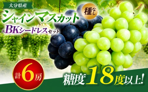 【先行予約】シャインマスカット (3房) BKシードレス (3房) 約4kg | フルーツ 果物 くだもの ぶどう ブドウ 葡萄 シャインマスカット マスカット 巨峰 種無し 食べ比べ 産地直送 大分県 中津市