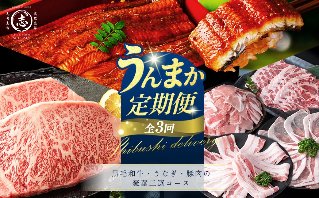 
                  【定期便全3回】黒毛和牛・うなぎ・豚肉の豪華三選コース！志布志うんまか定期便 国産 牛肉 ステーキ 鰻 うな重 ひつまぶし ロース バラ 切り落とし バラエティ セット t0050-022
                