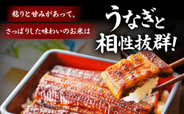 「うなぎ蒲焼き 5尾」と地元生産者こだわりの「お米 3㎏」セット