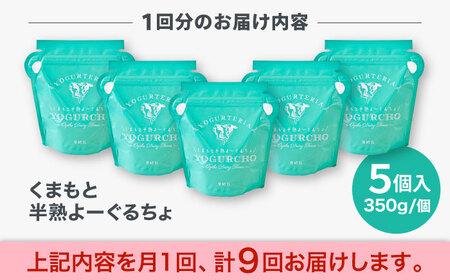 【全9回定期便】オオヤブデイリーファーム くまもと半熟よーぐるちょ 350g×5個【株式会社 オオヤブデイリーファーム】[AYAE021]