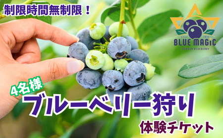 ブルーベリー狩り チケット 4名様