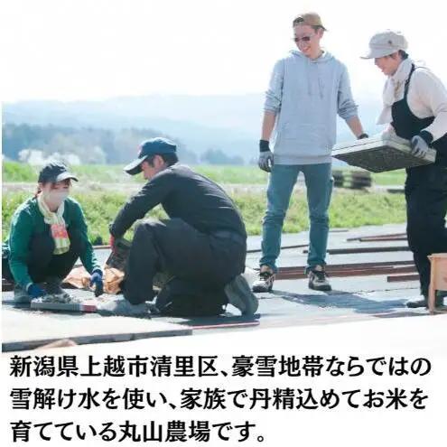 隔月5ヶ月定期便 令和8年 新潟県産 特別栽培米 コシヒカリ 5kg 5キロ（5回配送 計25kg）10月配送開始 上越市 清里区 丸山農場 精米 従来品種 希少 こしひかり 限定 送料無料