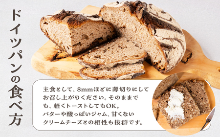 ドイツパンセット 国産 ライ麦 ハード ドイツパン