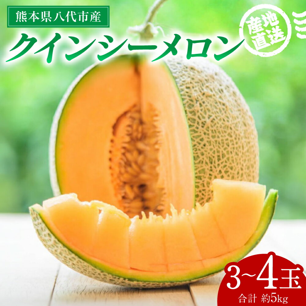【ふるさと納税】【先行予約】産地直送 クインシーメロン 3～4玉 約5kg クインシー メロン めろん 赤肉メロン 赤肉 果物 くだもの フルーツ デザート 贈り物 国産 熊本県 八代市 送料無料【2026年5月下旬より順次発送】