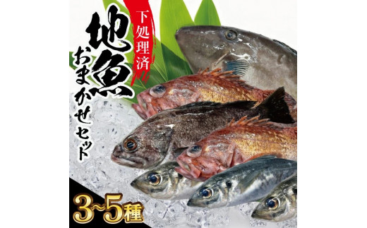 地魚おまかせセット(下処理済)　計1kg以上(3～5種類入)  SB0522