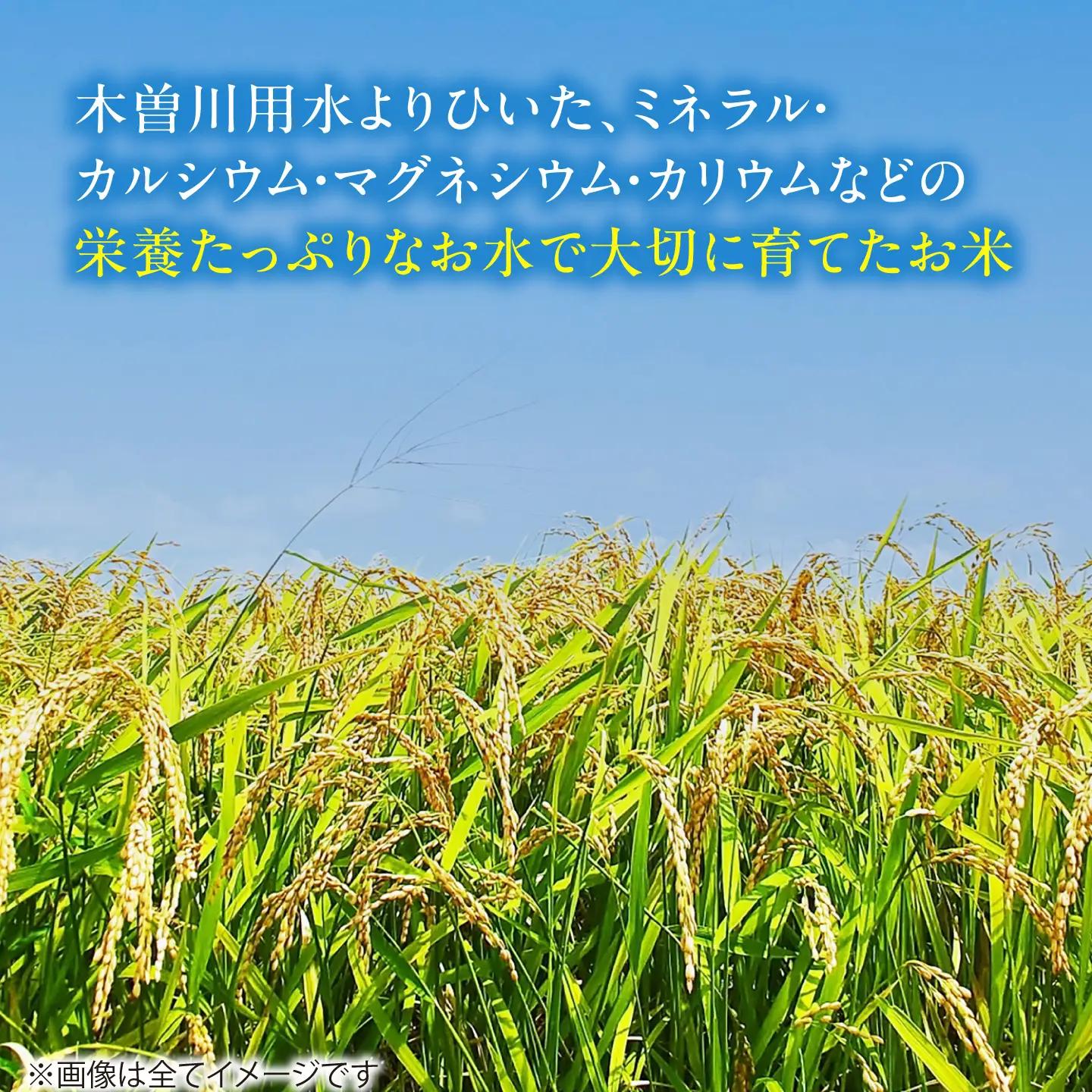 【12回定期便】コシヒカリ 白米 10kg×12か月 / 脇野コンバイン[AECP029]