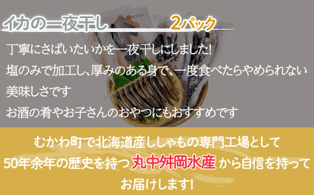 ＜北海道産＞舛岡水産の海鮮3種セット 【 ふるさと納税 人気 おすすめ ランキング ホッケ ししゃも イカ 海鮮 新鮮 鮮度 セット 北海道 むかわ町 送料無料 】 MKWZ003