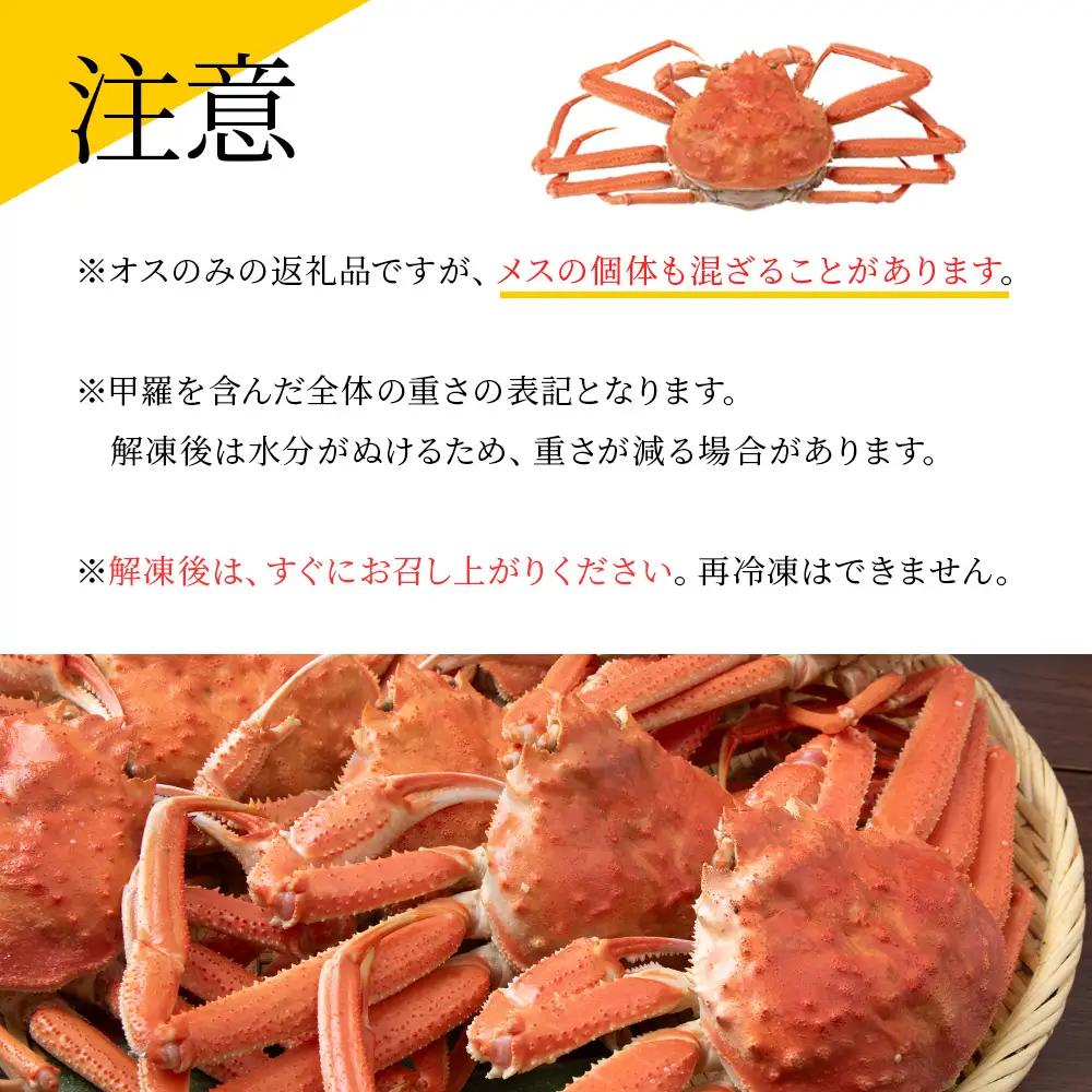 【7営業日以内発送】訳あり オオズワイガニオス 中サイズ (約200-350g) 浜ゆで 1kg (3-5尾入)AS224