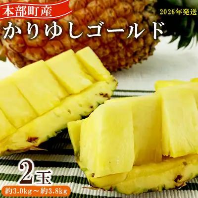 パイン【2026年発送】先行予約 かりゆしゴールド 2玉（約3.0kg～3.8kg） パイナップル