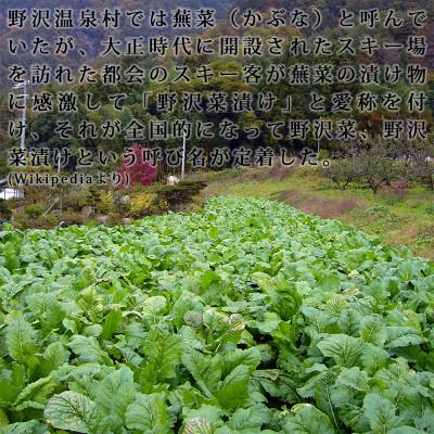 ふるさと納税 長野県 信州産 漬物用生の野沢菜 約5kg |  | 01