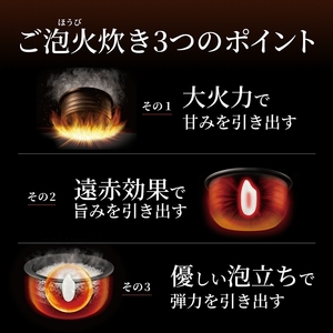 タイガー 100周年記念モデル タイガー魔法瓶 土鍋圧力IH炊飯器 JRX-T060KT コスモブラック 3.5合炊き＜ご発注から3ヶ月以内＞【 家電 炊飯器 大阪府 門真市 】