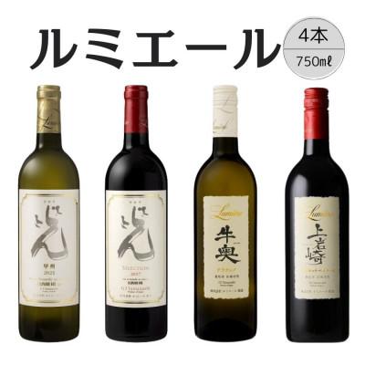 ふるさと納税 笛吹市 ルミエールおすすめ赤白ワイン 計4本セット(1) 167-134