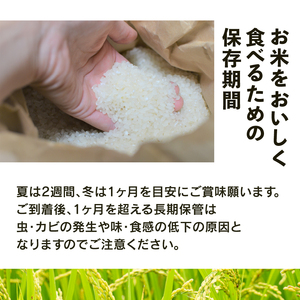 こしひかり 米 10kg 白米 定期便 3ヶ月  ( 令和7年産 特別栽培米 滋賀県 竜王町 白米 )