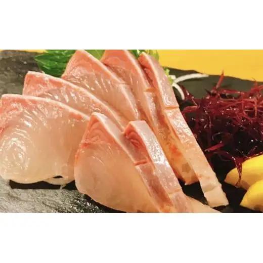 【 刺身定期便 】 刺身定期便 4ヶ月