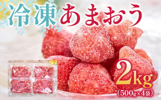 
福岡産 冷凍あまおう 合計2kg 500g×4袋 あまおう イチゴ いちご スイーツ 果物 フルーツ 送料無料
