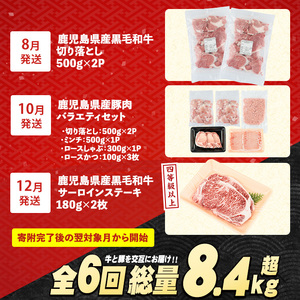 ＜定期便全6回＞黒毛和牛＆豚肉定期便 総重量8.4kg超 赤身 ロース 豚 ミンチ ロースかつ 豚肉 牛肉 切り落とし サーロイン 豚ロース しゃぶしゃぶ すき焼き 【スターゼン】starzen-15