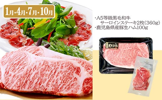 定期便3回配送　お楽しみ定期便(鹿児島県産お肉とかつお・まぐろ) EE-6015【1491146】 _ 定期便 黒毛和牛 鰹 カツオのたたき 黒豚 肉 人気 おすすめ 送料無料 贈答 ギフト 鹿児島県