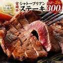 【ふるさと納税】※レビューキャンペーン※宮崎牛シャトーブリアンステーキ2枚　合計300g - 肉 牛肉 国産 黒毛和牛 宮崎牛 ステーキ シャトーブリアン 宮崎県 川南町 D11406