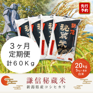 【先行予約｜10月上旬より順次出荷】定期便3ヶ月連続発送（20kg×3回分）20kg 米 新潟県産 コシヒカリ  精白米 謙信秘蔵米  お米  こめ コメ おこめ おすすめ こしひかり 新潟 にいがた 新潟米 上越 上越産 上越米 ふるさと納税 定期便 人気