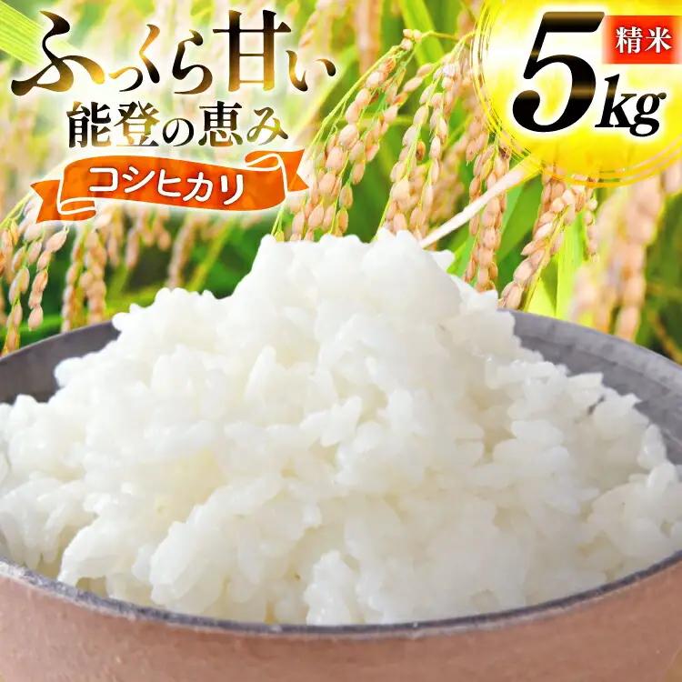 米 令和8年産 コシヒカリ 精米 5kg