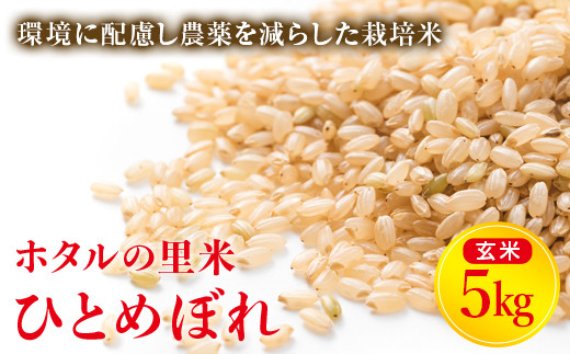 令和7年産 新米【ホタルの里米】環境に配慮し農薬を減らした栽培米 ひとめぼれ玄米5kg 米 お米 おこめ ご飯 ごはん 福島県 西会津町 F4D-0698