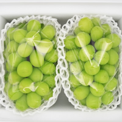 岡山県産シャインマスカット(ご家庭用)【2025年9月中旬以降発送予定】【配送不可地域：離島】【1461027】