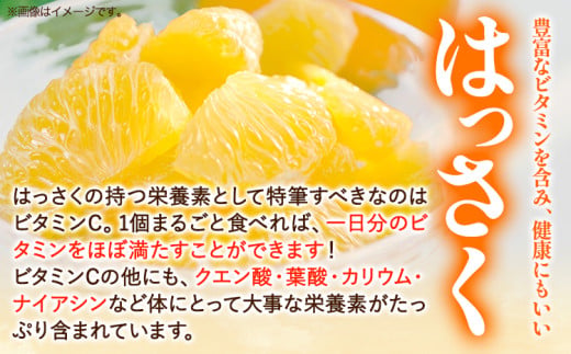 【訳あり/ご家庭用】はっさく 約9kg (4L~Sサイズ サイズ不選別) 早生･晩生指定不可《2月上旬-4月中旬に出荷予定(土日祝除く)》和歌山県 岩出市 産地直送 みかん 八朔 柑橘 果物 フルーツ
