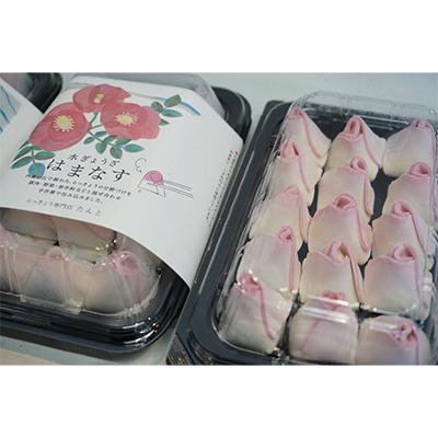 ふるさと納税 内灘町 水ぎょうざ　はまなす |  | 01