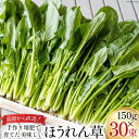 【ふるさと納税】【BH011】ほうれん草 150g×30束