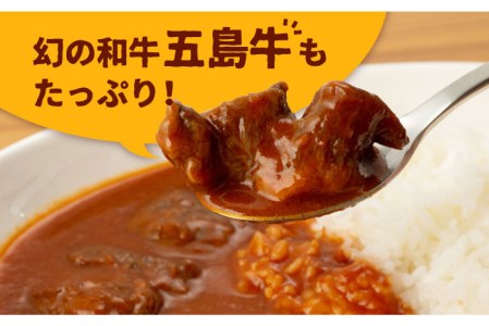 【五島牛と五島産の食材を使用】こだわりの五島ハヤシ10箱セット 化学調味料・着色料不使用 創作郷土料理いつき 五島市/出口さんご [PBK018]