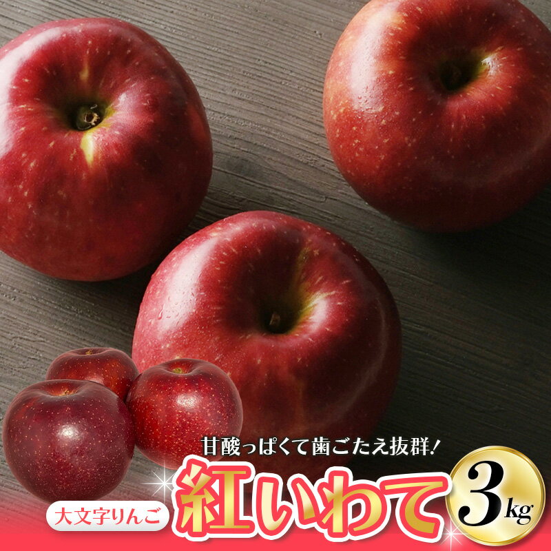 【ふるさと納税】 大文字りんご園 紅いわて 約3kg (7〜10玉) / 蜜 15000円 国産 樹上完熟 幻のりんご 林檎 果物 くだもの フルーツ 甘い 旬 産地直送 岩手県オリジナル品種 【2025年9月下旬頃より順次発送】