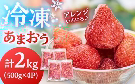 福岡産 冷凍 あまおう 2kg（500g×4袋） ▼ 福岡 冷凍いちご 苺 イチゴ フルーツ 小分け 桂川町/南国フルーツ株式会社[ADBW006]