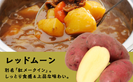【10月発送！】【秋山農園】北海道産 レッドムーン5kg 野菜 いも 芋 じゃがいも 北海道ふるさと納税