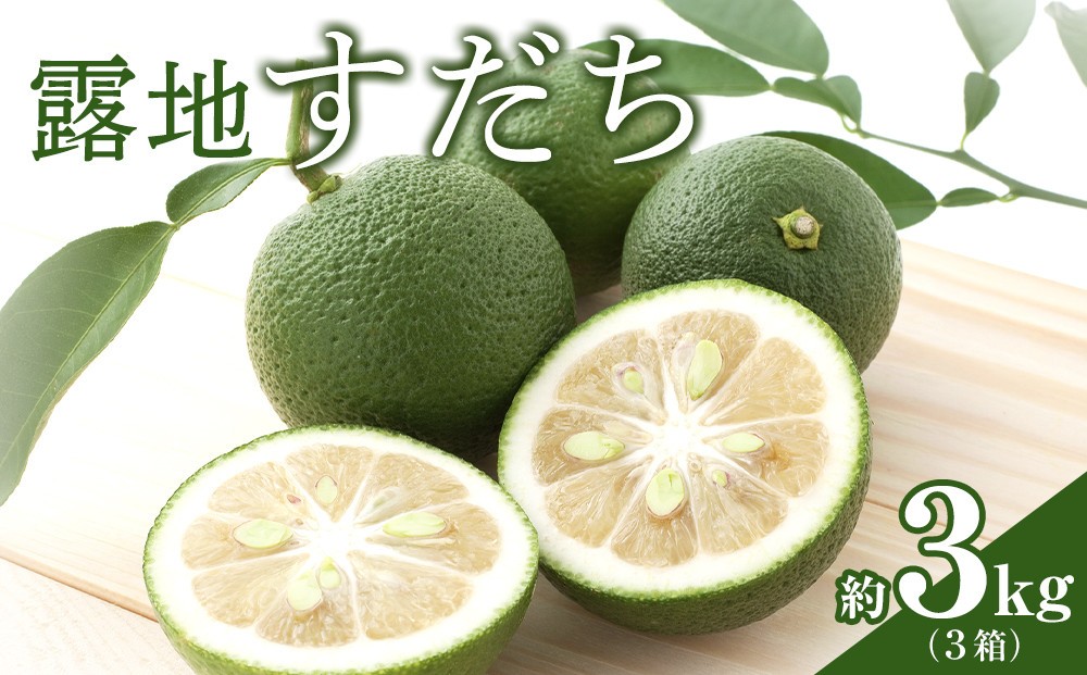 
                  【期間限定】露地すだち約3kg（1箱約1kg×3箱）
                