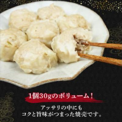 ふるさと納税 藤枝市 善食のふるさと焼売4パック60個セット! |  | 01