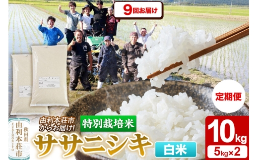 《定期便9ヶ月》令和7年産【白米】特別栽培米 ササニシキ 10kg（5kg×2袋） 秋田県産 [ササニシキ 米 お米 白米 精米 特別栽培米 ブランド米 食卓 秋田県産 秋田県 由利本荘市]