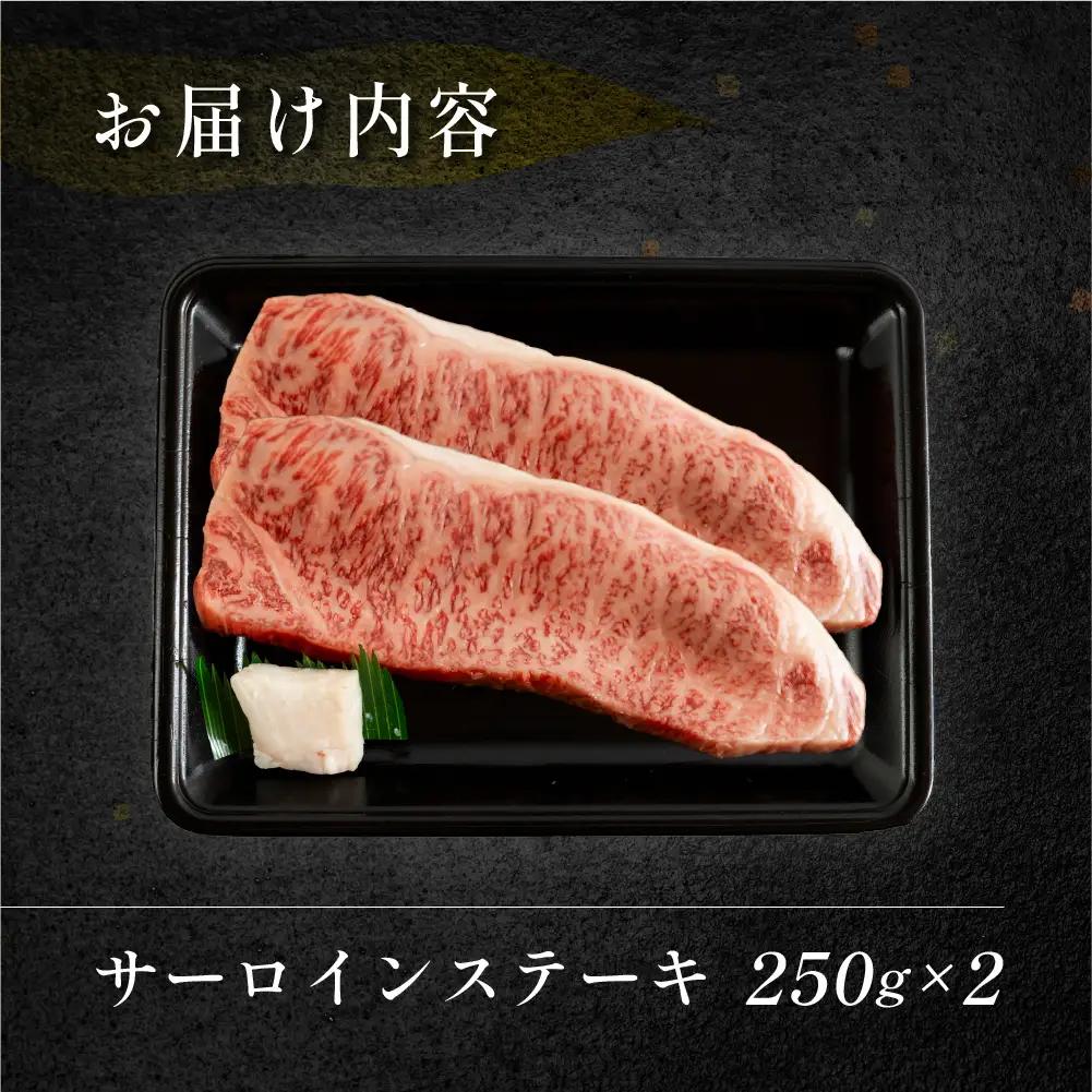 飛騨牛サーロインステーキ  250g×2 【70-12】