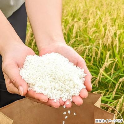 ふるさと納税 南あわじ市 【ヤマモト】令和8年度 淡路島産【キヌヒカリ】10キロ |  | 01