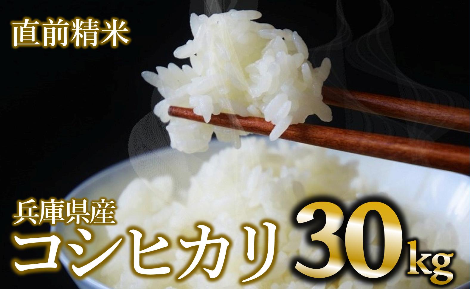 
            【令和６年産 コシヒカリ】白米30kg（10kg×3袋）2024年産(68-6) 米 お米 米30㎏ お米30㎏ 兵庫県産 こしひかり コシヒカリ 西脇市産 令和６年産 R６年産 2024年産  精米
          